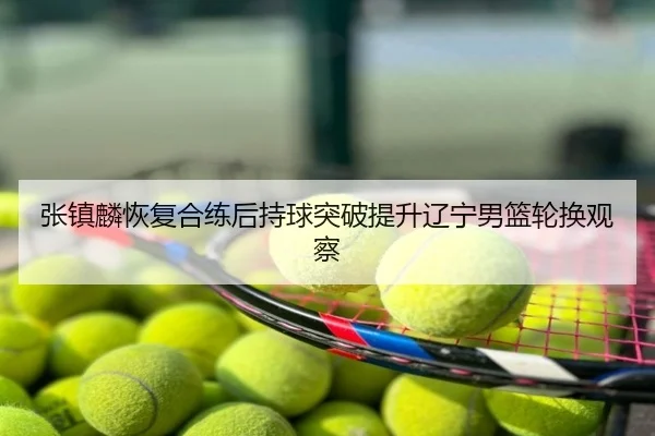 张镇麟恢复合练后持球突破提升辽宁男篮轮换观察