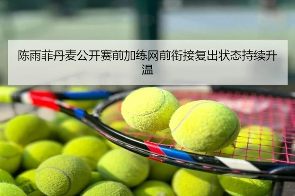 陈雨菲丹麦公开赛前加练网前衔接复出状态持续升温